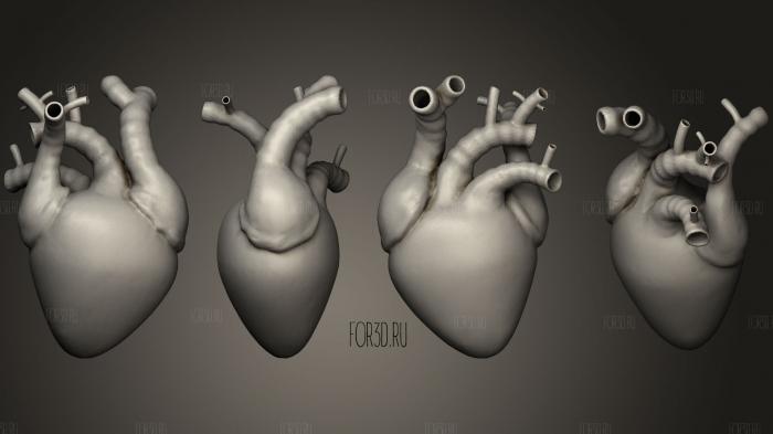 Heart Animated stl model for CNC